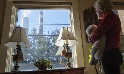 一名妇女和她的狗望着窗外一家工厂排放的废气.